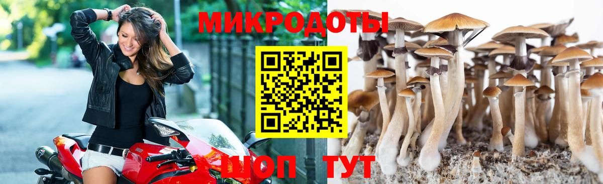Хасавюрт  Галлюциногенные грибы прущие грибы  Вход с VPN 