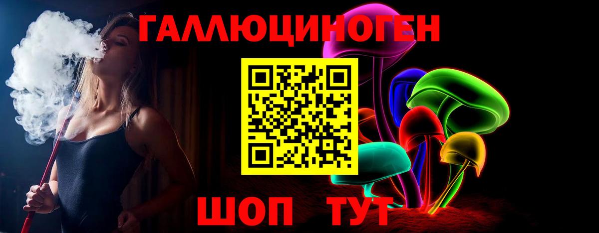 Галлюциногенные грибы Psilocybine cubensis Хасавюрт